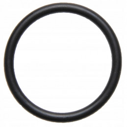 Oring zaworu pompy 35x5